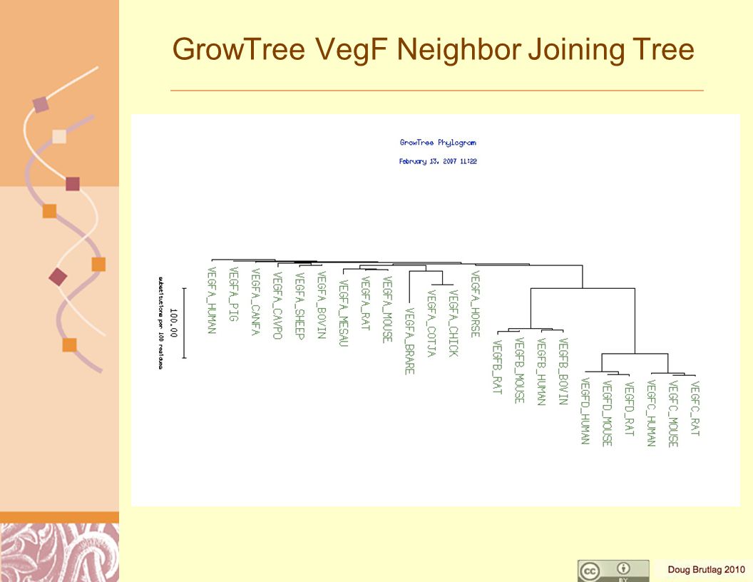 GrowTree VegF Neighbor Joining Tree