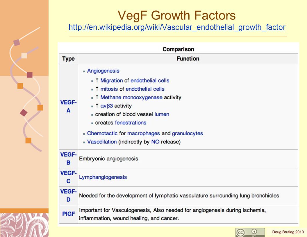 VegF Growth Factors