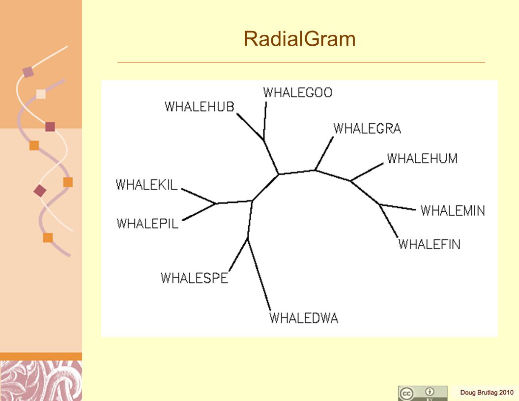 RadialGram