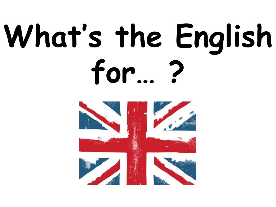 What’s the English for…