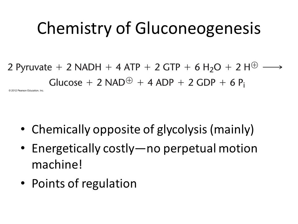 Gluconeogenesis and PPP C483 Spring An intermediate found in ...