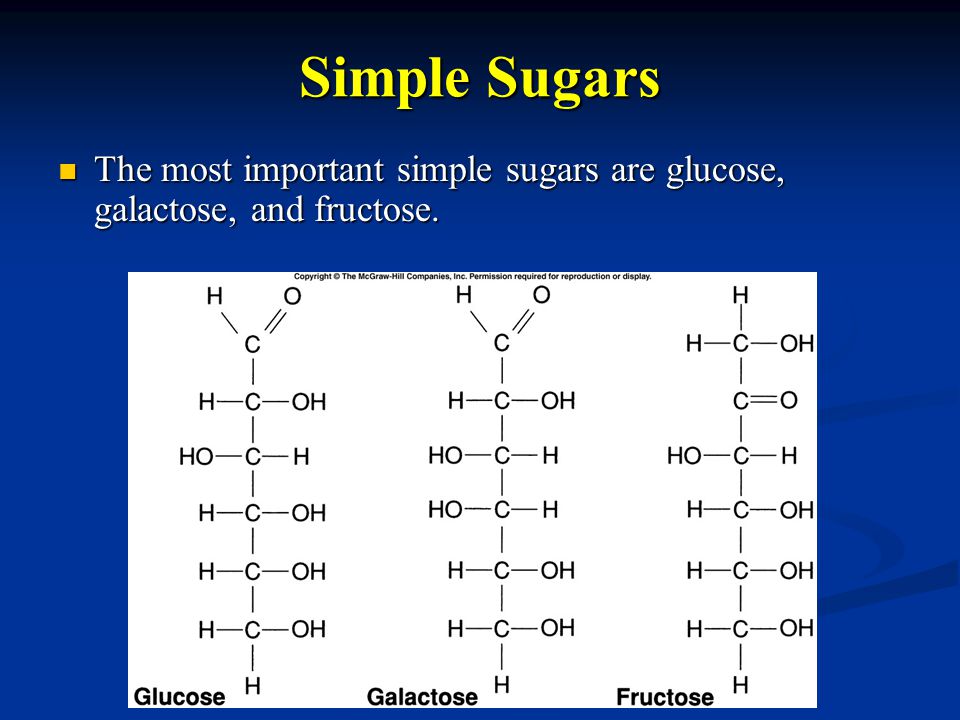 Simple Sugars The most important simple sugars are glucose, galactose, and fructose.