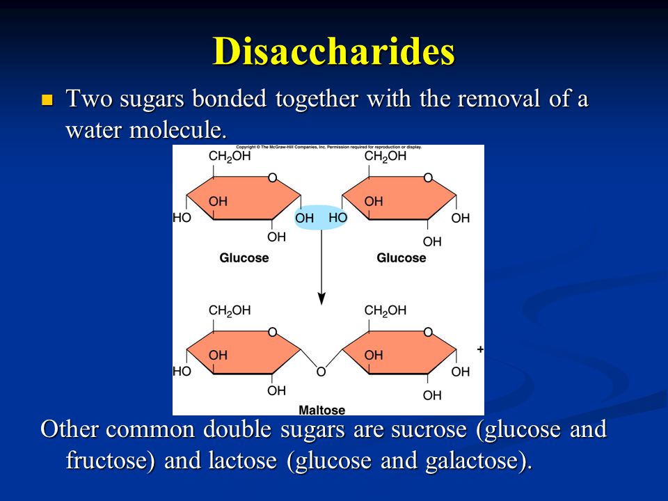 Disaccharides Two sugars bonded together with the removal of a water molecule.