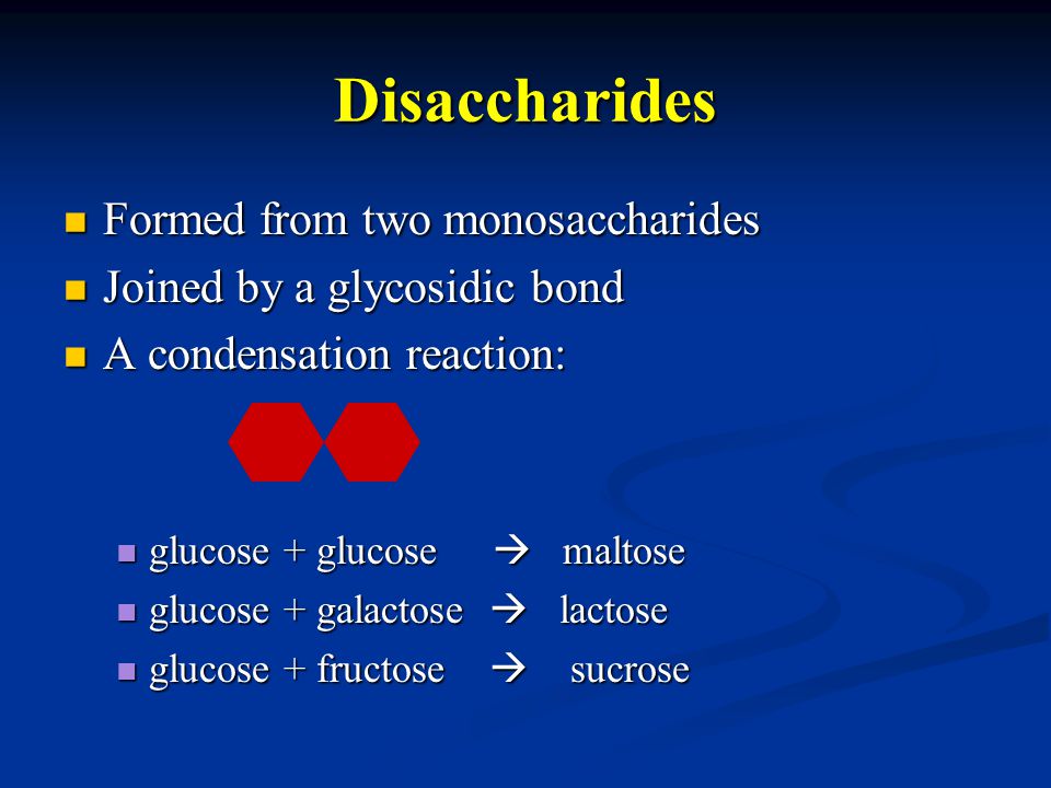 Disaccharides Formed from two monosaccharides Formed from two monosaccharides Joined by a glycosidic bond Joined by a glycosidic bond A condensation reaction: A condensation reaction: glucose + glucose  maltose glucose + glucose  maltose glucose + galactose  lactose glucose + galactose  lactose glucose + fructose  sucrose glucose + fructose  sucrose