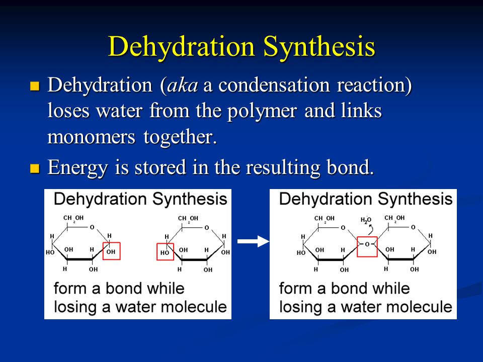 Dehydration Synthesis Dehydration (aka a condensation reaction) loses water from the polymer and links monomers together.
