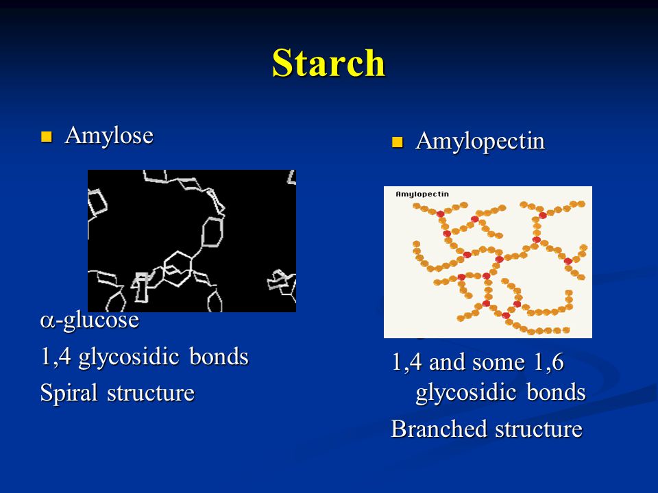 Starch Amylose Amylose  -glucose 1,4 glycosidic bonds Spiral structure Amylopectin Amylopectin  -glucose 1,4 and some 1,6 glycosidic bonds Branched structure