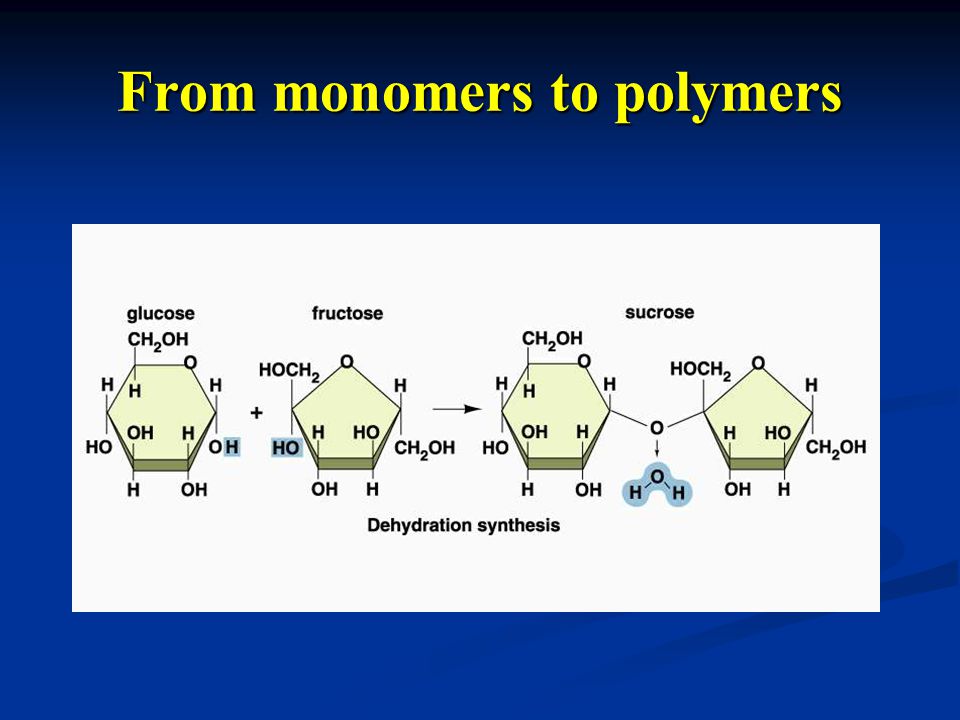 From monomers to polymers