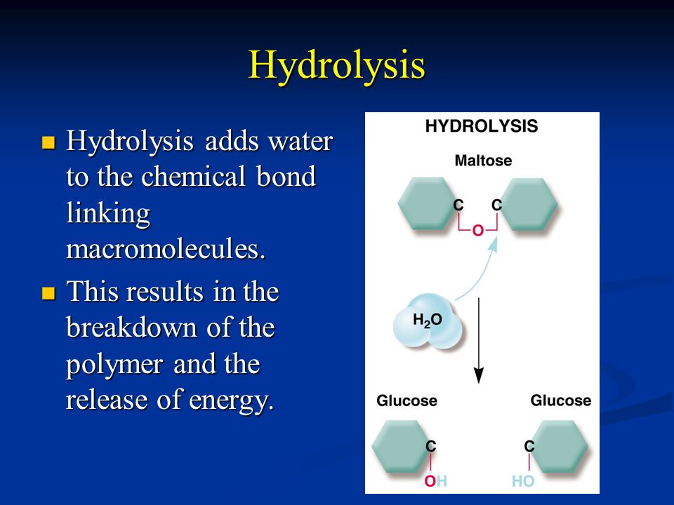 Hydrolysis Hydrolysis adds water to the chemical bond linking macromolecules.