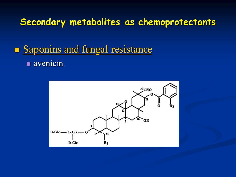 Secondary metabolites as chemoprotectants Saponins and fungal resistance Saponins and fungal resistance Saponins and fungal resistance Saponins and fungal resistance avenicin avenicin