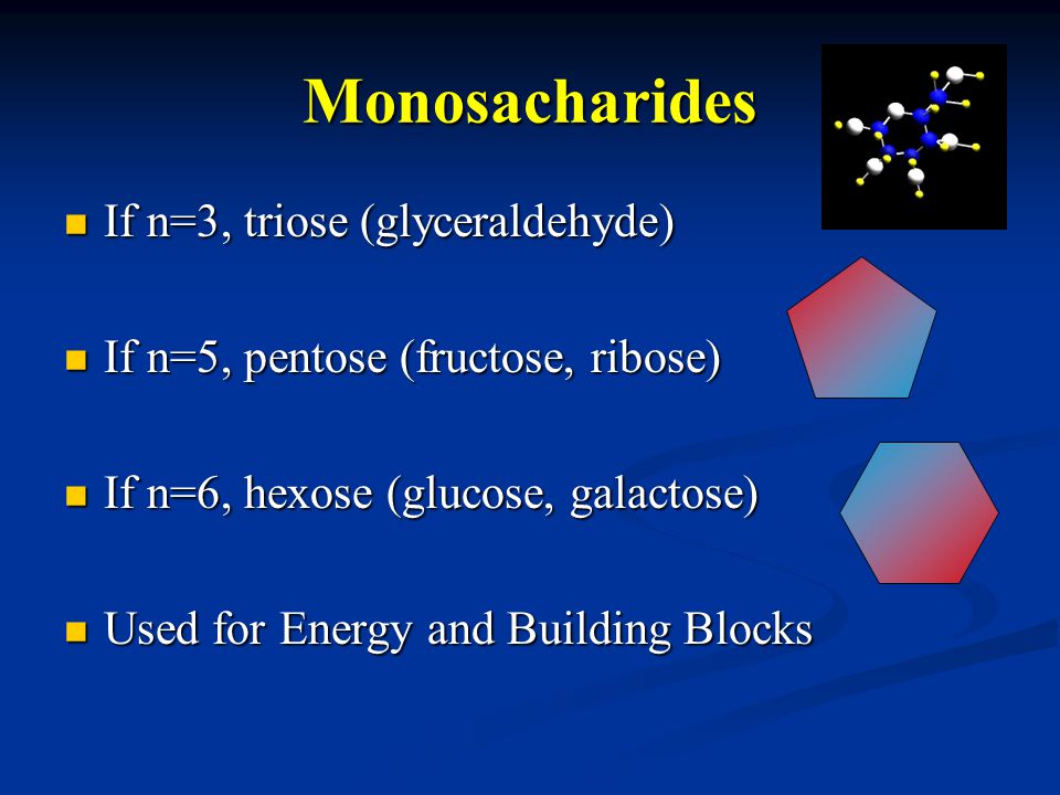 Monosacharides If n=3, triose (glyceraldehyde) If n=3, triose (glyceraldehyde) If n=5, pentose (fructose, ribose) If n=5, pentose (fructose, ribose) If n=6, hexose (glucose, galactose) If n=6, hexose (glucose, galactose) Used for Energy and Building Blocks Used for Energy and Building Blocks