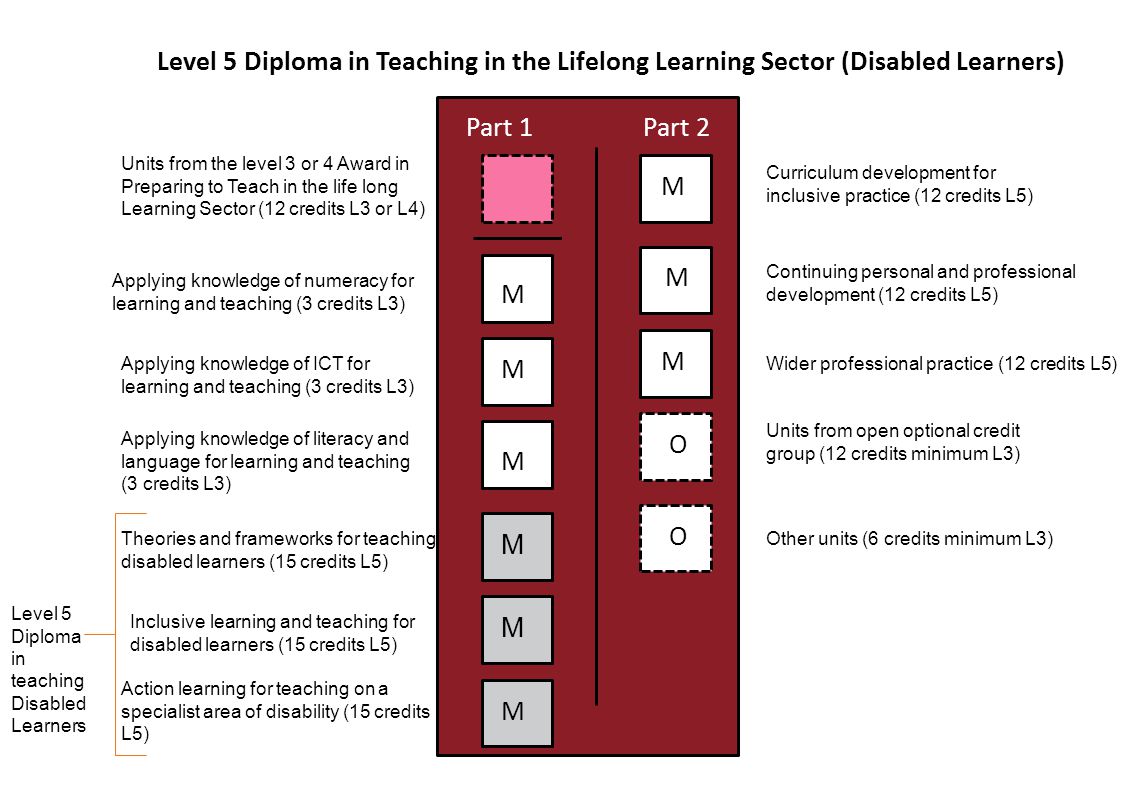 Level 5 Diploma in Teaching in the Lifelong Learning Sector (Disabled Learners) Part 1Part 2 M M M M M M M M M O O Units from the level 3 or 4 Award in Preparing to Teach in the life long Learning Sector (12 credits L3 or L4) Applying knowledge of numeracy for learning and teaching (3 credits L3) Applying knowledge of ICT for learning and teaching (3 credits L3) Applying knowledge of literacy and language for learning and teaching (3 credits L3) Theories and frameworks for teaching disabled learners (15 credits L5) Inclusive learning and teaching for disabled learners (15 credits L5) Action learning for teaching on a specialist area of disability (15 credits L5) Curriculum development for inclusive practice (12 credits L5) Units from open optional credit group (12 credits minimum L3) Wider professional practice (12 credits L5) Continuing personal and professional development (12 credits L5) Other units (6 credits minimum L3) Level 5 Diploma in teaching Disabled Learners