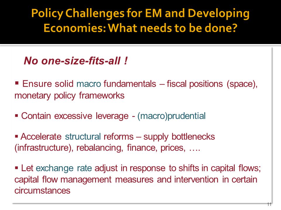 Policy Challenges for EM and Developing Economies: What needs to be done.