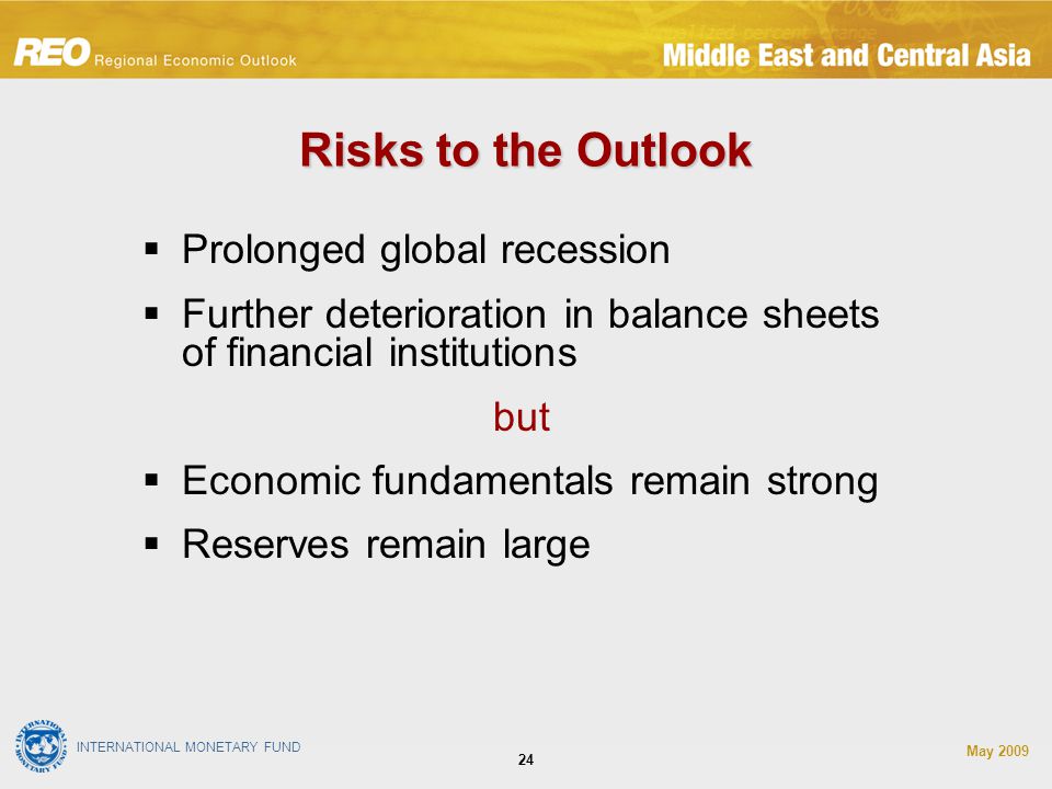 INTERNATIONAL MONETARY FUND May Risks to the Outlook  Prolonged global recession  Further deterioration in balance sheets of financial institutions but  Economic fundamentals remain strong  Reserves remain large