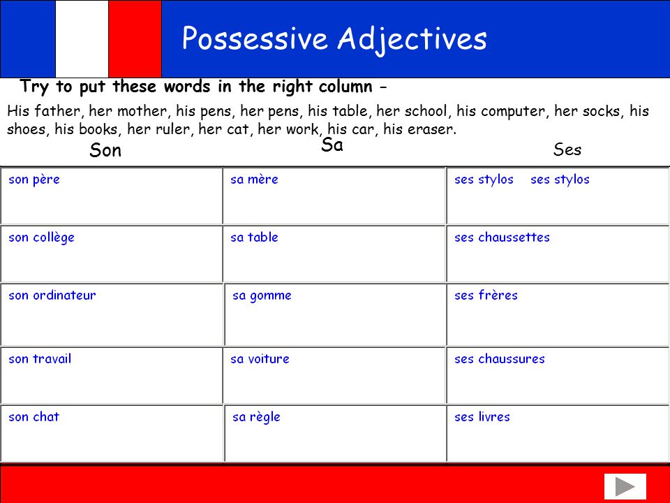 Possessive Adjectives Objectives: To explain what possessive adjectives are  and to practise their use. - ppt download