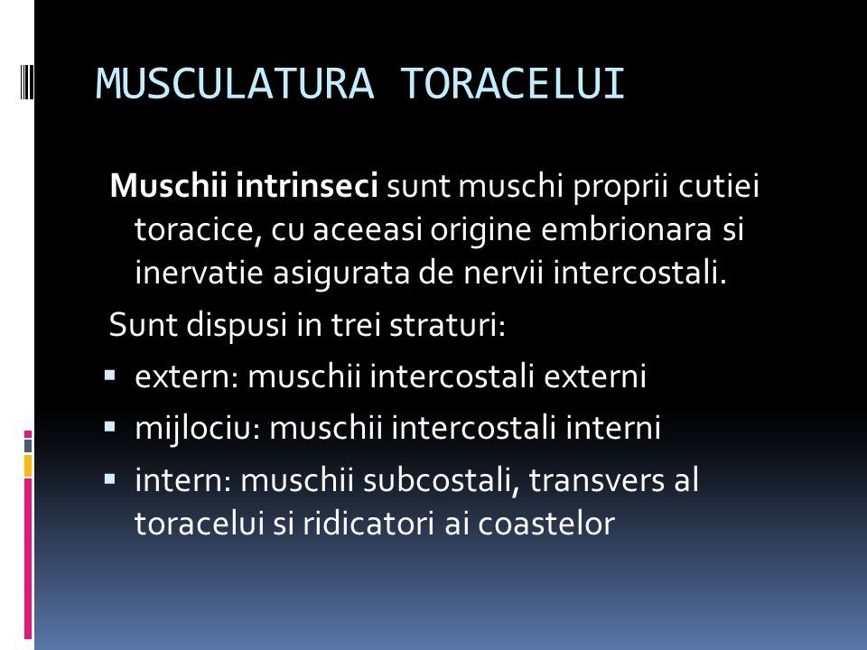 DINAMICA RESPIRATIEI COORDONATOR Conf. Dr. Gogulescu Nicolae STUDENTI:  Basalic Ana-Maria Chiper Luminita Talpau Ana-Maria Anul I, Grupa ppt  download