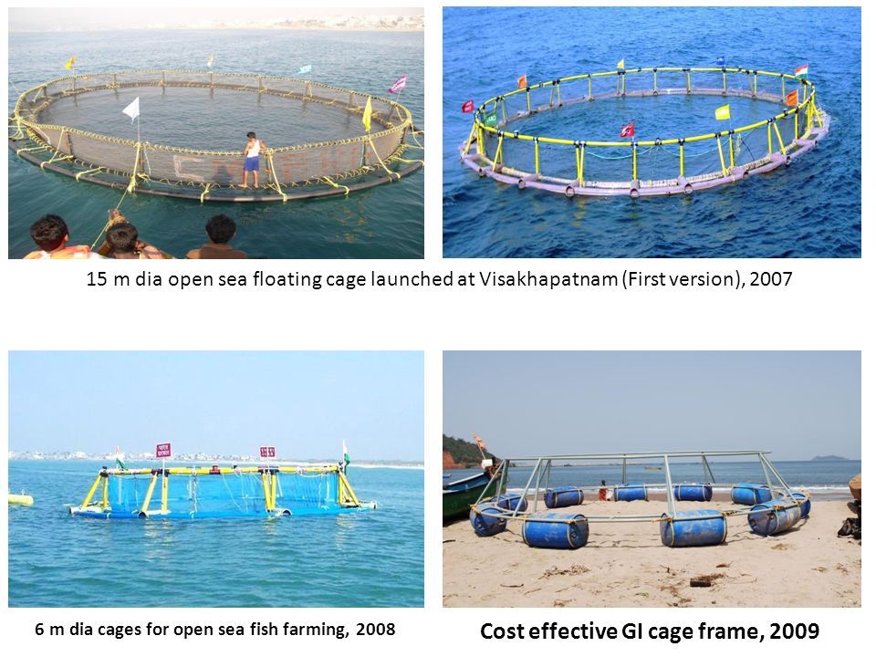 Open Sea Cage Farming - ppt download