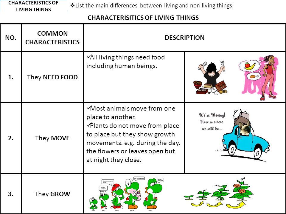 Living and Non Living Things - Characteristics & Examples