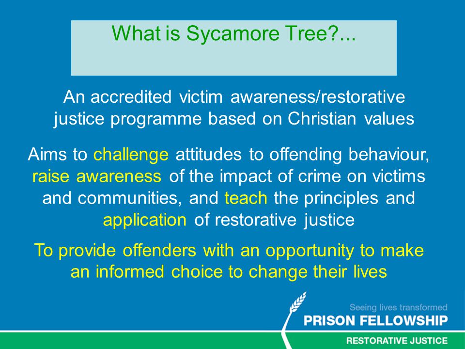 What is Sycamore Tree ...