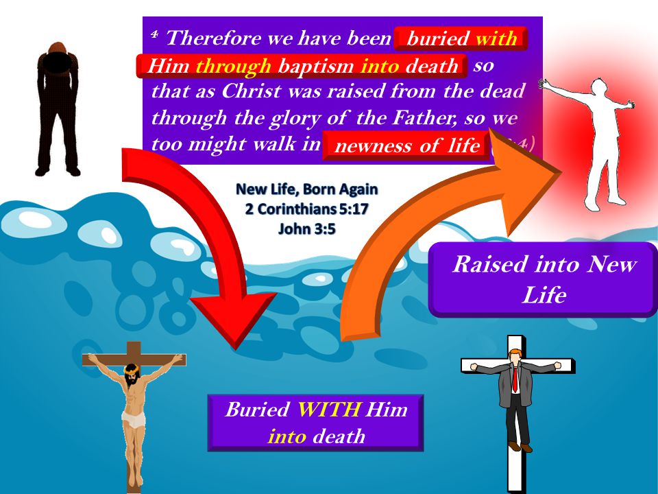 4 Therefore we have been buried with Him through baptism into death, so that as Christ was raised from the dead through the glory of the Father, so we too might walk in newness of life. (6:4) Buried WITH Him into death buried with Him through baptism into death Raised into New Life newness of life