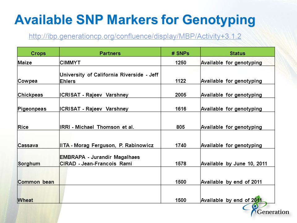 CropsPartners# SNPsStatus MaizeCIMMYT1250Available for genotyping Cowpea University of California Riverside - Jeff Ehlers1122Available for genotyping ChickpeasICRISAT - Rajeev Varshney2005Available for genotyping PigeonpeasICRISAT - Rajeev Varshney1616Available for genotyping RiceIRRI - Michael Thomson et al.805Available for genotyping CassavaIITA - Morag Ferguson, P.
