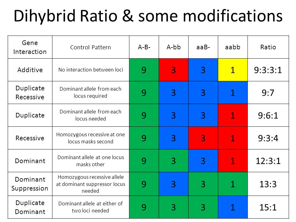A set of genes represents the individual components of the biological  system under scrutiny" Modifications of the "3:1 F2 monohybrid ratio" and  gene interactions. - ppt download