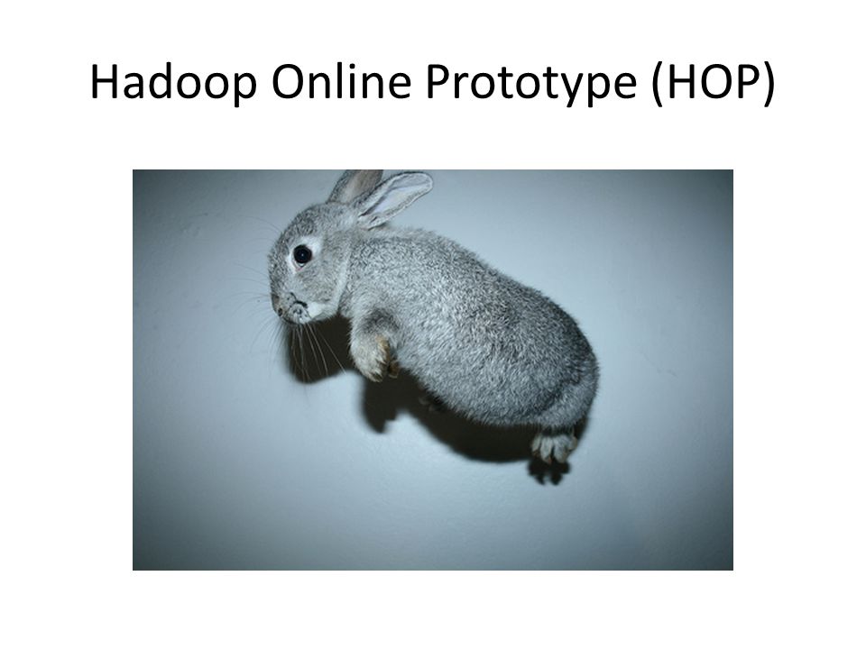 Hadoop Online Prototype (HOP)
