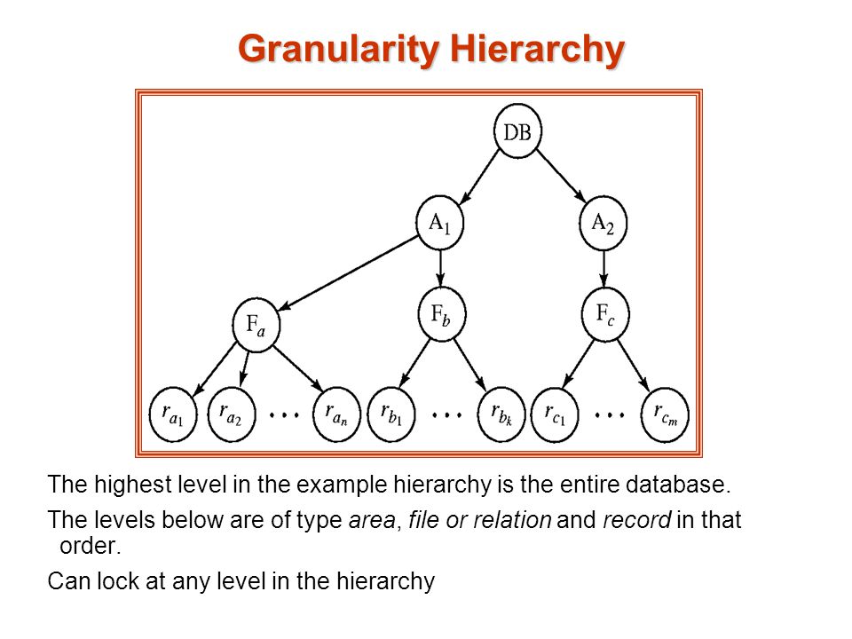 Granularity Hierarchy The highest level in the example hierarchy is the entire database.