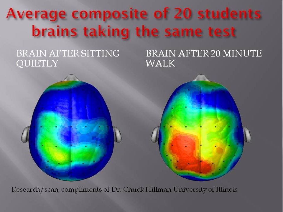 Physical Education And Academic Achievement Ppt Video Online Download