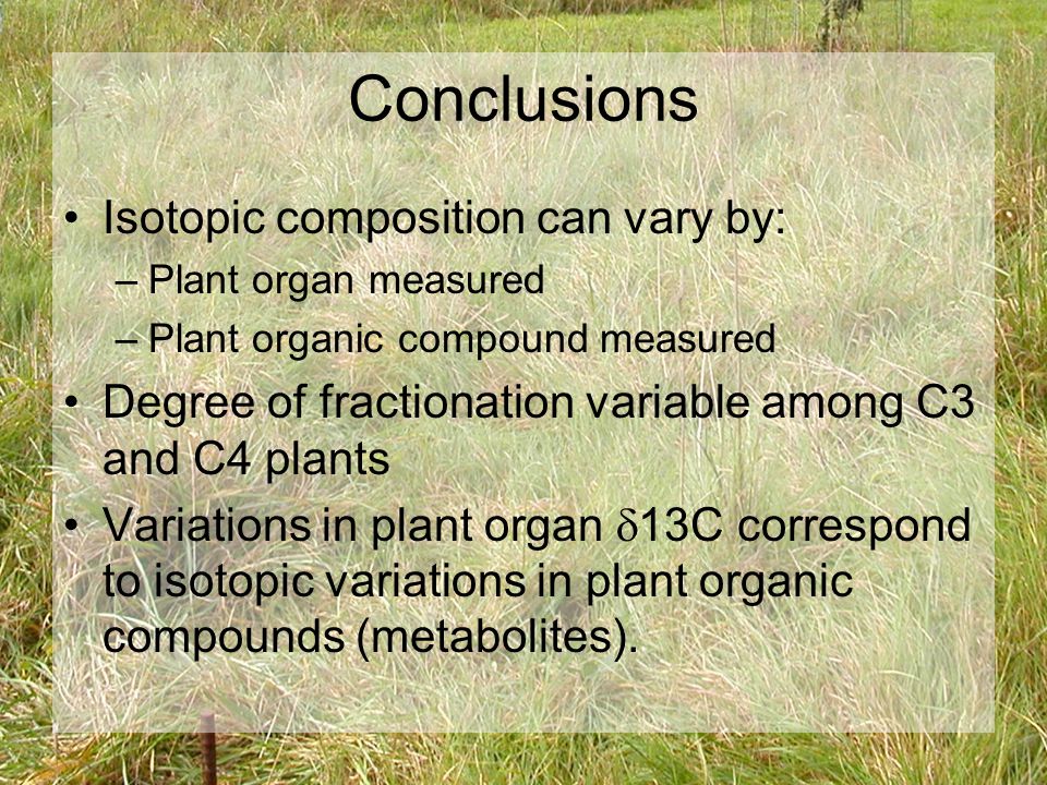 Conclusions Isotopic composition can vary by: –Plant organ measured –Plant organic compound measured Degree of fractionation variable among C3 and C4 plants Variations in plant organ  13C correspond to isotopic variations in plant organic compounds (metabolites).