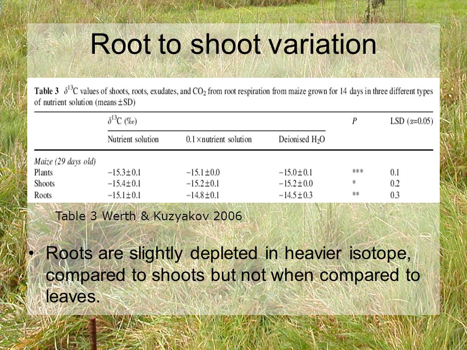 Root to shoot variation Roots are slightly depleted in heavier isotope, compared to shoots but not when compared to leaves.