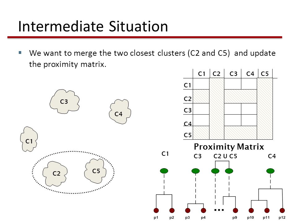 Intermediate Situation  We want to merge the two closest clusters (C2 and C5) and update the proximity matrix.