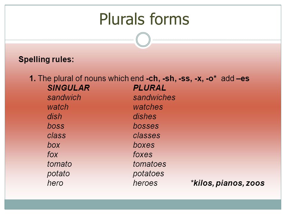 Plurals forms Spelling rules: 1.