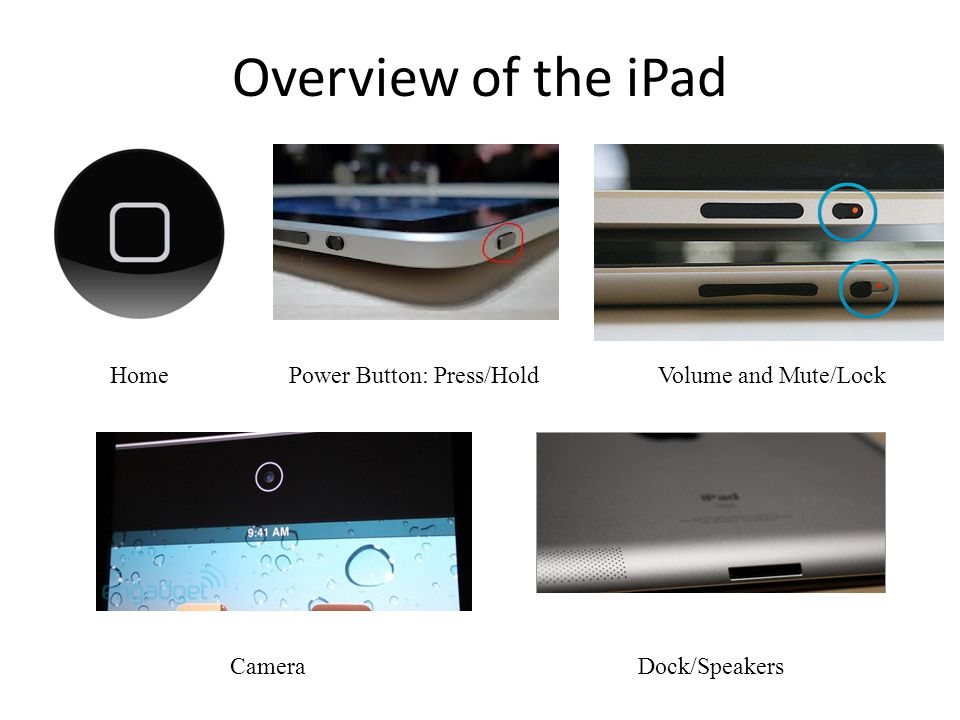 Overview of the iPad HomeVolume and Mute/Lock CameraDock/Speakers Power Button: Press/Hold