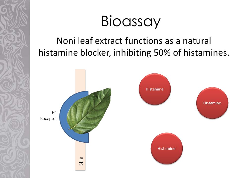 Noni leaf extract functions as a natural histamine blocker, inhibiting 50% of histamines.