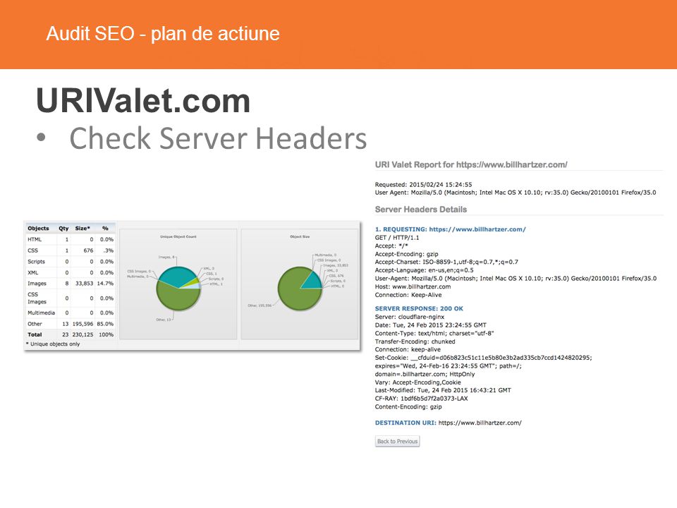 Audit SEO - plan de actiune URIValet.com Check Server Headers