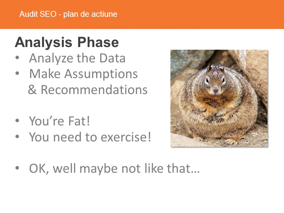 Audit SEO - plan de actiune Analysis Phase Analyze the Data Make Assumptions & Recommendations You’re Fat.