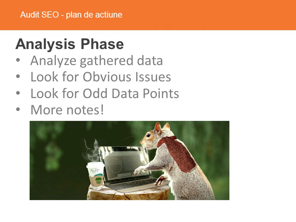 Audit SEO - plan de actiune Analysis Phase Analyze gathered data Look for Obvious Issues Look for Odd Data Points More notes!