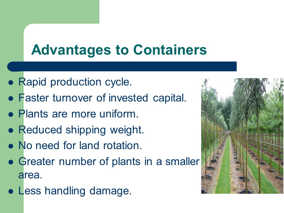 Advantages to Containers Rapid production cycle. Faster turnover of invested capital.