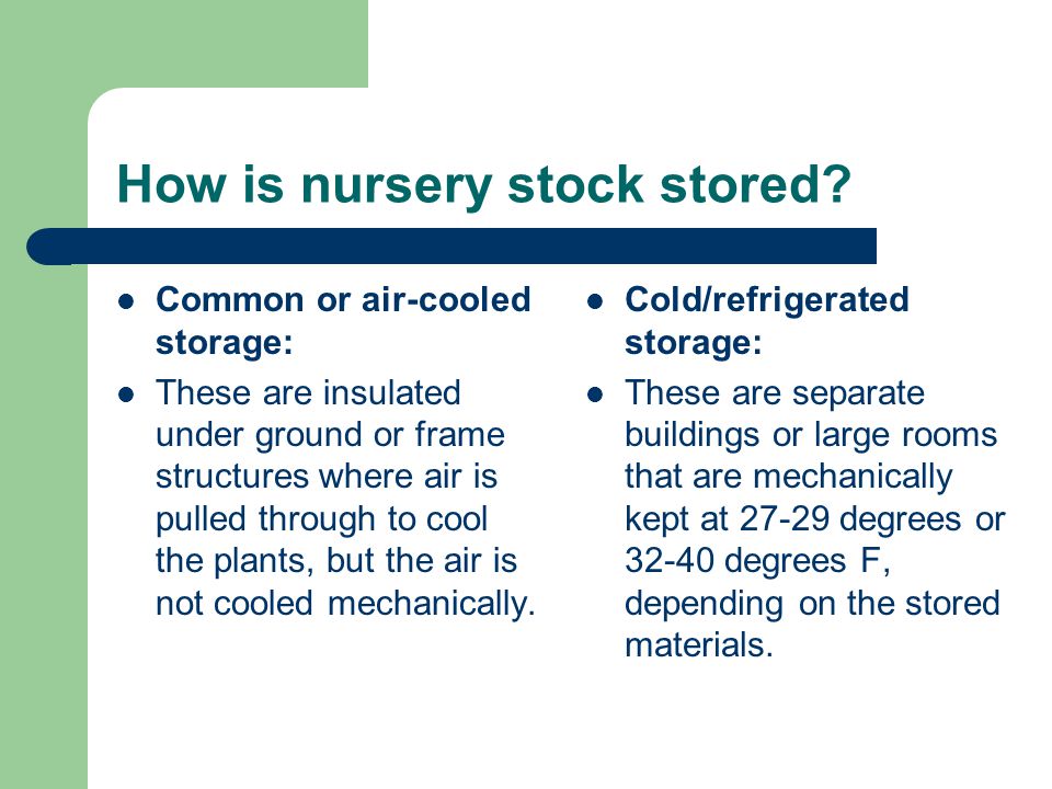 How is nursery stock stored.