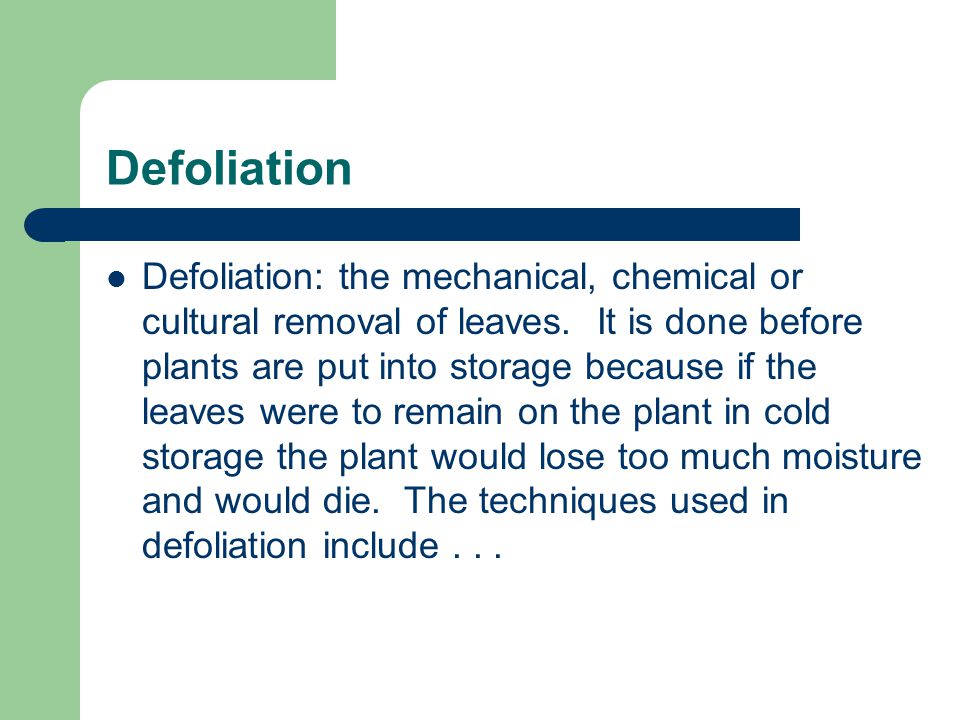 Defoliation Defoliation: the mechanical, chemical or cultural removal of leaves.