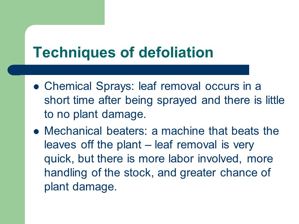 Techniques of defoliation Chemical Sprays: leaf removal occurs in a short time after being sprayed and there is little to no plant damage.