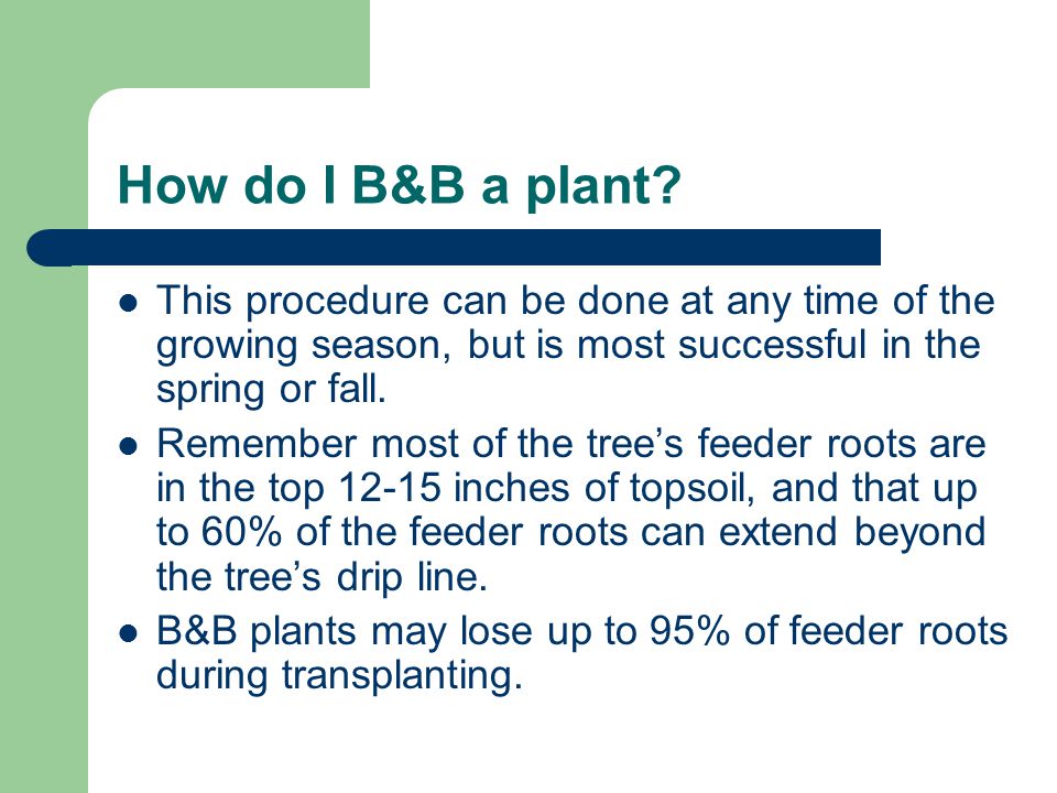 How do I B&B a plant.