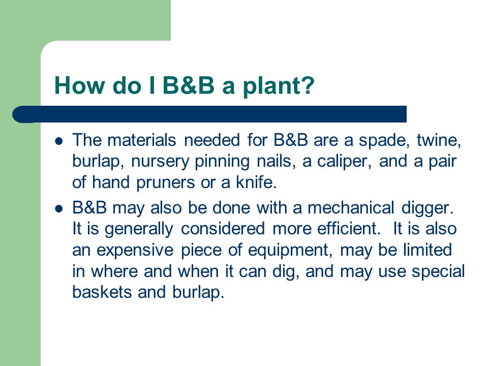 How do I B&B a plant.