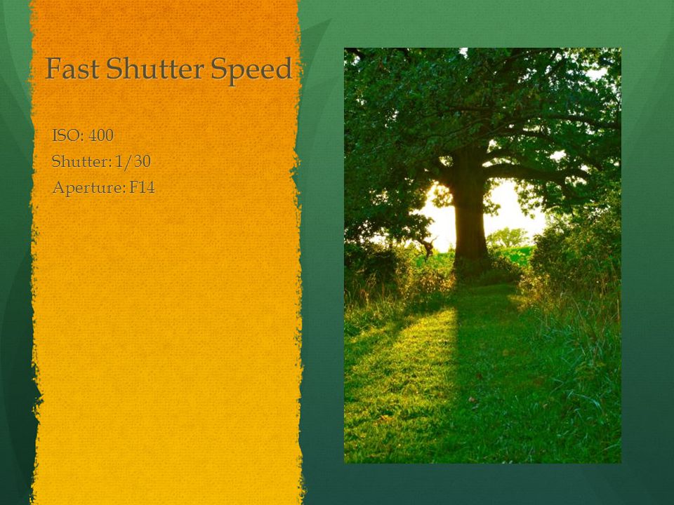 Fast Shutter Speed ISO: 400 Shutter: 1/30 Aperture: F14