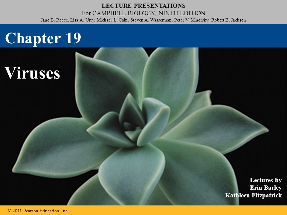 LECTURE PRESENTATIONS For CAMPBELL BIOLOGY, NINTH EDITION Jane B.