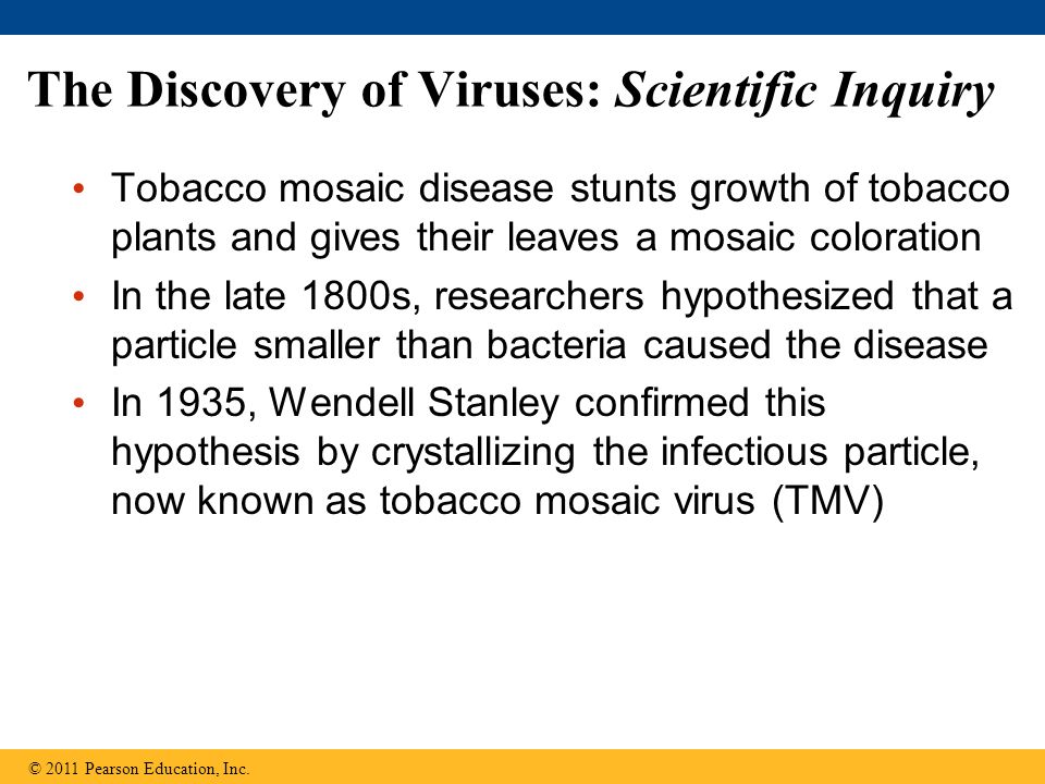 The Discovery of Viruses: Scientific Inquiry Tobacco mosaic disease stunts growth of tobacco plants and gives their leaves a mosaic coloration In the late 1800s, researchers hypothesized that a particle smaller than bacteria caused the disease In 1935, Wendell Stanley confirmed this hypothesis by crystallizing the infectious particle, now known as tobacco mosaic virus (TMV) © 2011 Pearson Education, Inc.