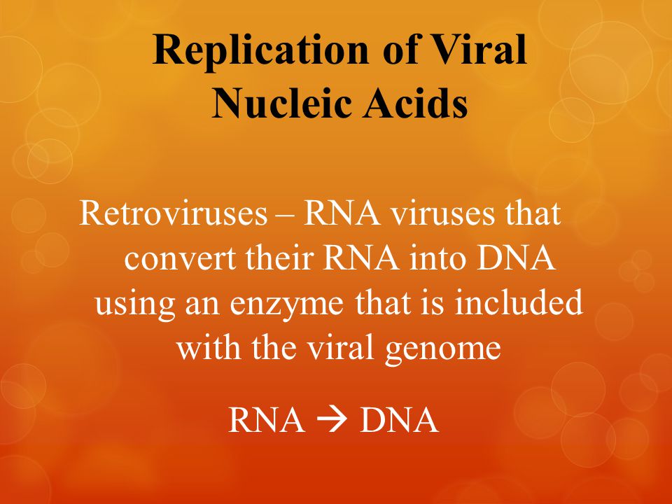 Replication of Viral Nucleic Acids – RNA viruses that convert their RNA into DNA using an enzyme that is included with the viral genome RNA  DNA Retroviruses