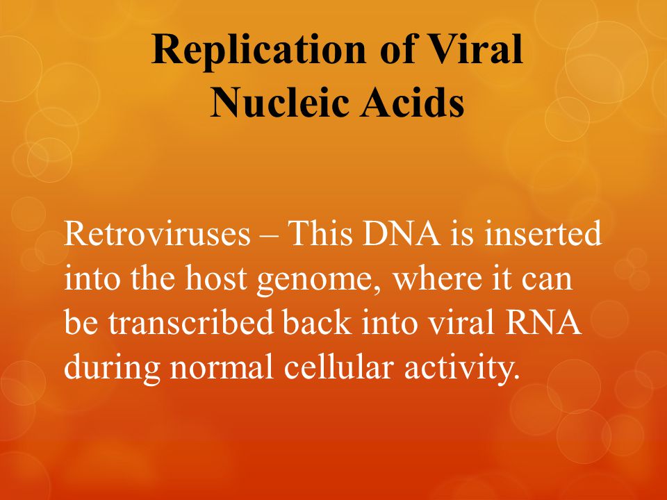 Replication of Viral Nucleic Acids Retroviruses – This DNA is inserted into the host genome, where it can be transcribed back into viral RNA during normal cellular activity.