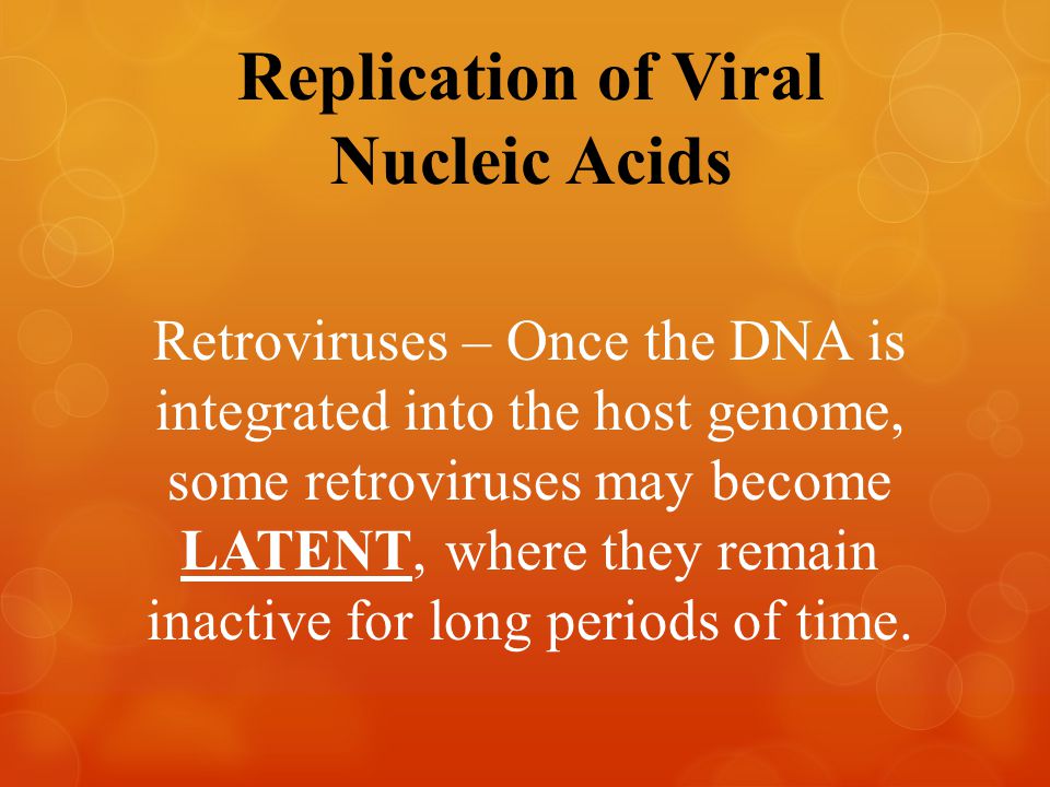 Replication of Viral Nucleic Acids Retroviruses – Once the DNA is integrated into the host genome, some retroviruses may become LATENT, where they remain inactive for long periods of time.