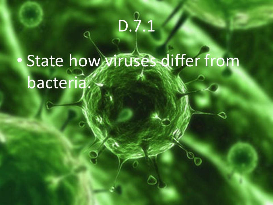 D.7.1 State how viruses differ from bacteria.